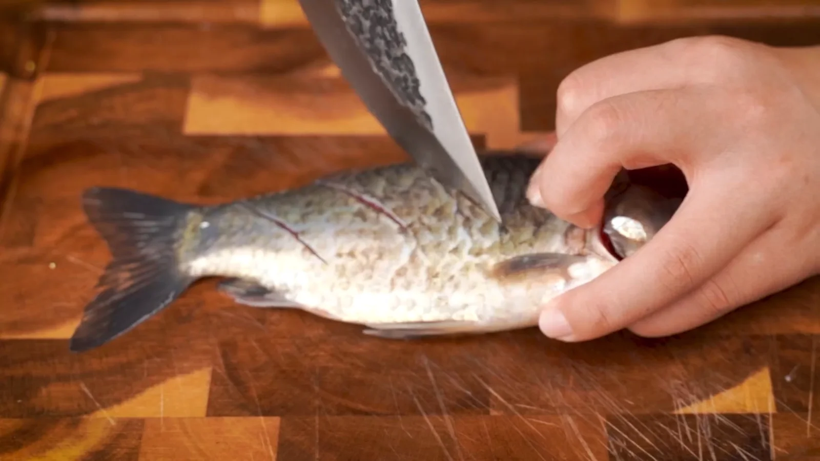 A whole fish on a board before it is scored. This is where a narrow blade earns the money a wide one cannot.